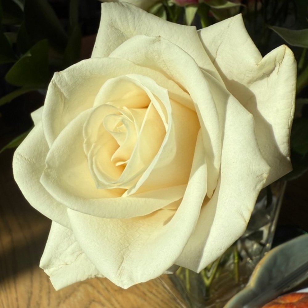 Meet the Posher, Kay!